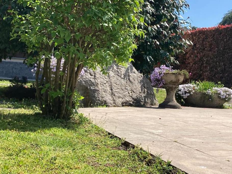 Un Bell Incontro Apartment Borgo Ticino Екстериор снимка