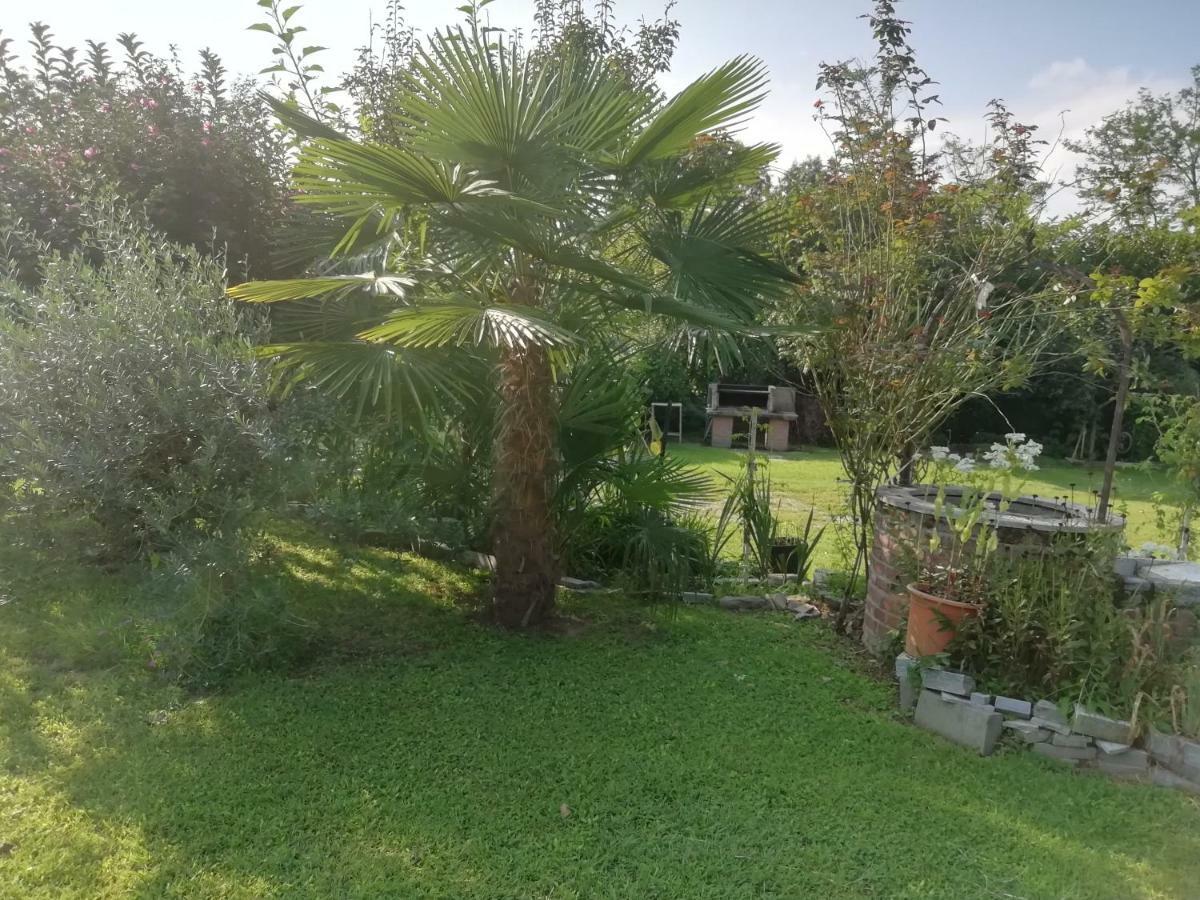 Un Bell Incontro Apartment Borgo Ticino Екстериор снимка